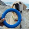 15cm indestrructable dog toys natural rubber ring dog toy durable chew ring pet toy dog