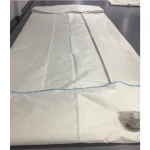19000L Disposable flexitank for bulk liquid sugar syrup in one 20ft container