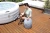 Import 2 persons inflatable intex portable hot spa tub from China