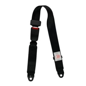 2 Point Car Safety Belt Car Accessories For Auto Car Safety Belt Accessory