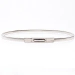 2018 Fashionable elastic alloy slimming belt gold and silver
