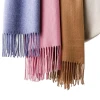 2020 Fashion Cashmere Touch Scarf High Quality Winter Scarves