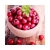 Import 2020 Hot Selling IQF Frozen Fresh Fruit bulk organic frozen Cranberry fruits from China