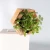 Import 2020 New Indoor Eco-friendly Household &amp; Office Plastic Wall Mounted Self Water Flower Pot With Planting Sponge from China