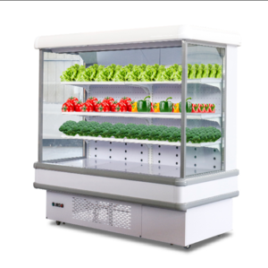 2020 supermarket open display freezer chiller display freezer for supermarket