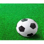 2021 Chinese artificial grass,turf grass,football grass
