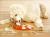 Import 2021 Hot Sale Smart Puzzle Treat Dispenser Bone Shaped Storage Interactive Dog Chew Toy from China