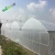 Import 3 layers below molding polyethylene agriculture film,UV stabilized vegetable greenhouse film,200 micron clear poly plastic film from China