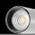 30W High Quality Decorative Waterproof Led Spotlights Ceiling Cob Outdoor Mini Led Spot Light Prices Spot Led,Spot Lights