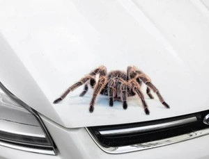 3D Effect For Scorpion Spider Lizard Animal Car Stickers