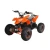 Import 800w 1000w electric mini atv off-road go kart for kids from China