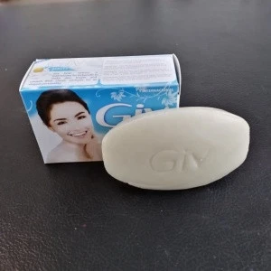 80G Vegrtal organic Puro Beauty Toilet Washing Silky Skin GIV Soap