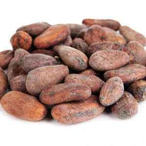 African origin 100% Quality Cocoa Beans From High Quality Suppliers In Bulk