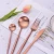 Import Amazon Ins style Cutlery Gift Set Rose Gold 304 Stainless Steel Cutlery Spoon Fork Gold Plated Flatware from China