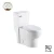 Import American Standard Ceramic Washdown Two Piece S-Trap Toilets from China