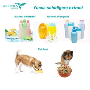 Animal Gaining Weight Best Price Yucca Schidigera Extract Powder 60%Saponins