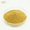 Anti-cancer Plant Burdock Root Extract