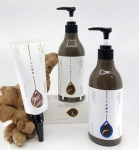anti-dandruff scalp shampoo hair loss prevention korea herbal moisture scalp care silicon free sulphate free 300 ml Protique