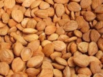 Apricot Kernels/Best quality/ competitive price /fast delivery time