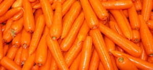 Australian Fresh Carrots