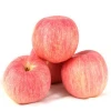 Best fresh apple fruit cheap wholesale price