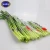 Import Best price garlic stem from China