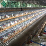 Best Price Poultry Farming Hot Dipped Galvanized Chicken Egg Layer Cages For Sale In Philippines