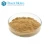Import Best quality 10:1 cactus plant extract from China