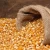 Import Best Selling Products Hulled Broomcron Millet With Good Quality from Singapore