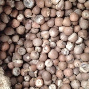 Betel Nuts Whole and Split / Slice Betel Nut / Dried Betel Nut