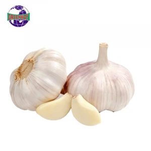 Better quality organic high nutritional value carefully selected white garlic