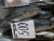 Import 24 Months Shelf Life Frozen Round Scad Fish in Bulk Packaging from Thailand