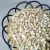 Import Bulk Pine Nuts / Wholesale Pine Nuts/dried Raw Pine Nut Kernel for Sale from ZA AA COMMON Cultivation from South Africa