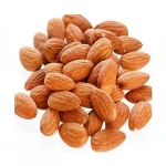 Californian Almond Nuts Price / Almond Kernel / Almond Wholesale