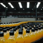 Carbonated Soft Drink Making /Manufacturing Machinery/Manufacturer