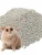 Import Cats litter for cat cleaning from China