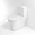 Import Ceramic toilet bowl wc siphon water closet commode sanitary ware toilet bathroom from China