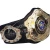 Import Championship belts / MMA / Boxing / Wrestling / Muay Thai / Kick Boxing / Medals from Pakistan