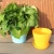 Import cheap green color self watering round garden outdoor planter flower pot for sale from China
