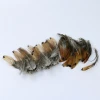 Cheap natural pheasant feather for decoration