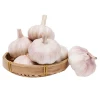 China garlic wholesale black  high quality garlic powde  Prices Supplier China Fresh Vegetables Garlic