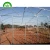 Import China supplier cheap price tunnel greenhouse plastic poly film greenhouse from China