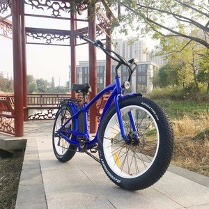 Chinese bike LED light electric bicycle 48v bikes electric mountain bike