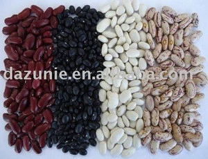 Chinese Dried Kidney Beans in Black, Red, White