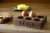 Import Clear Varnished Walnut Wood Egg Tools Holder Racks Safe Tray from China
