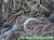 Import Copper Scrap HMS Scrap Used Rail Metal Scrap Moto Scrap Vessel Scrap Tyre Wire Scrap Aluminium Scrap 2016 from Ukraine