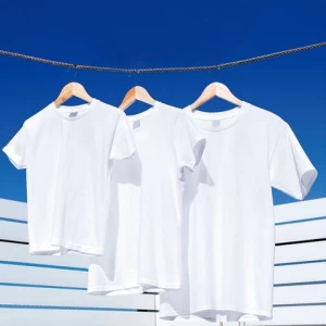 100% Cotton T Shirt Plain Custom Logo Active Wear Men Multicolor Oversize Workout Shirts