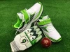 Cricket Shoes for players and Bowlers