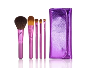 Customized Makeup Tool Cosmetic Brush Set with Fashion Pouch