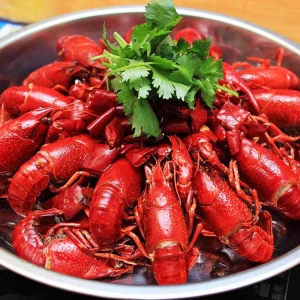 Delicious cook freshwater spicy crawfish lobster for sale